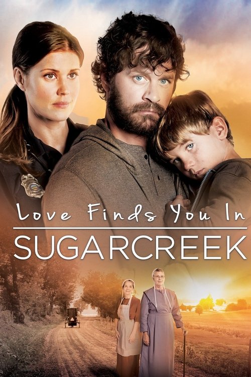 Póster de Love Finds You In Sugarcreek