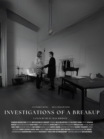 Póster de Investigations of a Breakup