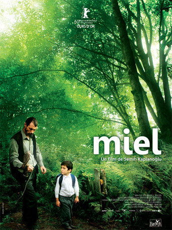 Póster de Bal