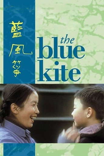 Póster de El papalote azul