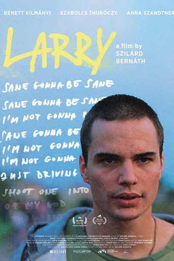 Póster de Larry