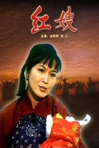 Póster de 红嫂