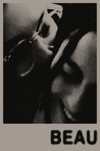 Póster de Beau