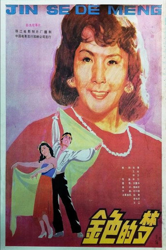Póster de 金色的梦