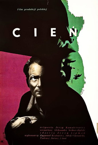 Póster de Cień