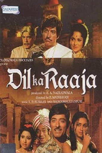 Póster de Dil Ka Raaja