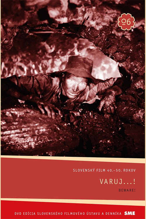 Póster de Varuj...!