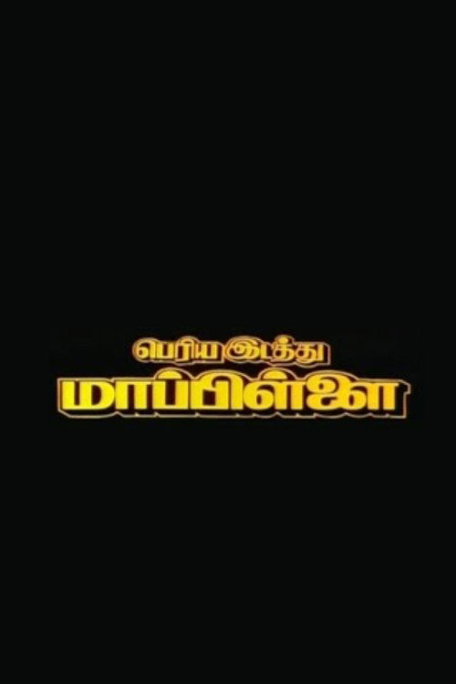 Póster de Periya Idathu Mappillai