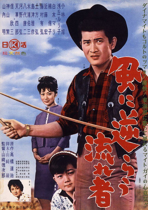 Póster de 風に逆らう流れ者