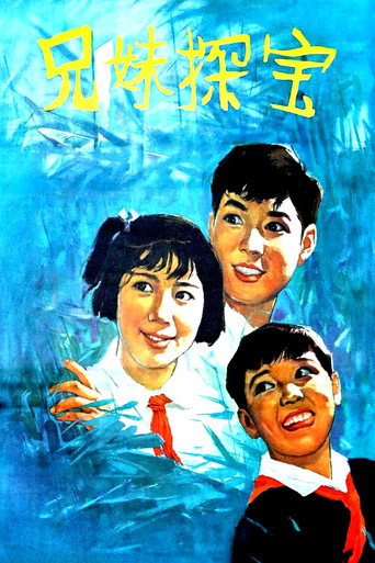 Póster de 兄妹探宝