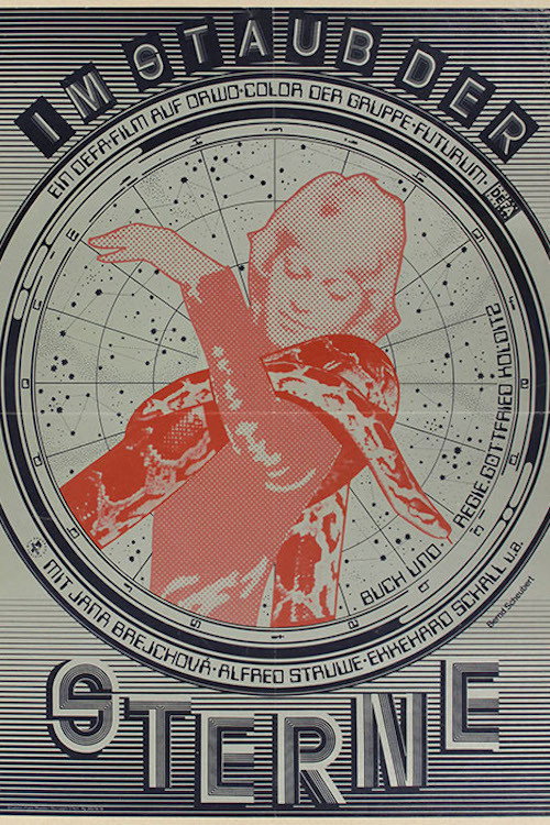 Póster de Im Staub der Sterne