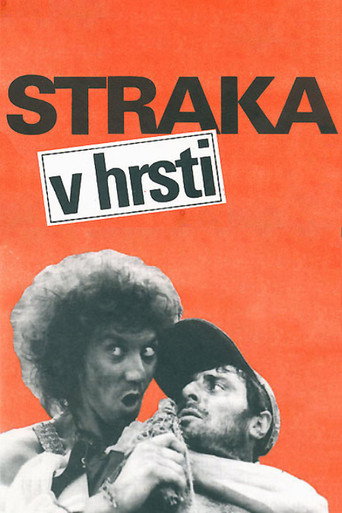 Póster de Straka v hrsti