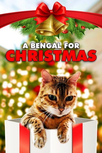 Póster de A Bengal for Christmas