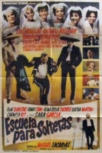 Póster de Escuela para solteras
