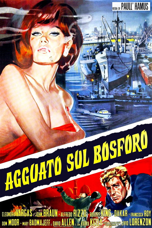 Póster de Agguato sul Bosforo