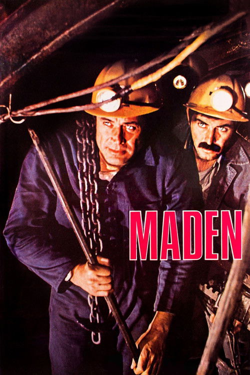 Póster de Maden