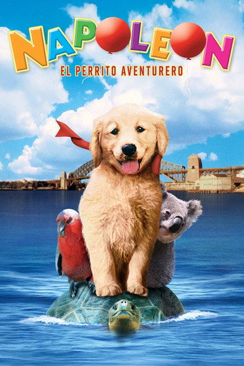 Póster de Napoleón, el perrito aventurero