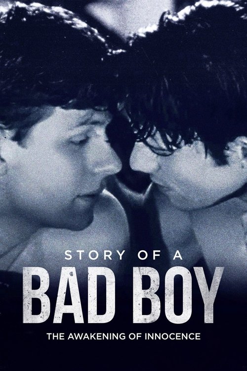 Póster de Story of a Bad Boy