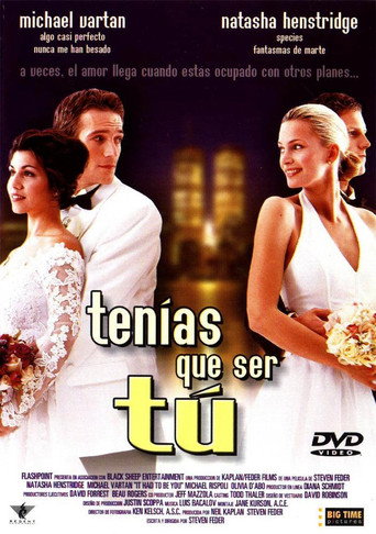 Póster de It Had to Be You