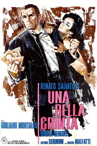Póster de Una bella grinta