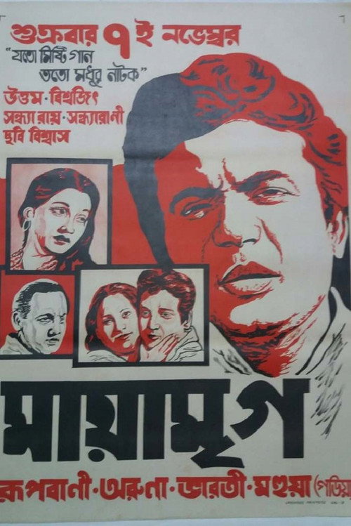 Póster de মায়া মৃগ
