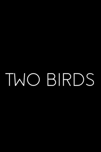 Póster de Two Birds
