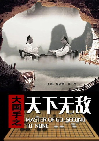 Póster de 大国手之天下无敌