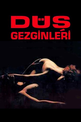Póster de Düş Gezginleri