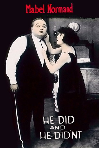 Póster de He Did and He Didn’t