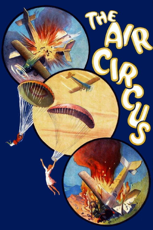 Póster de The Air Circus