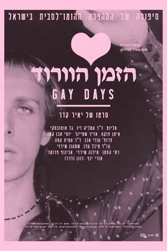 Póster de הזמן הוורוד