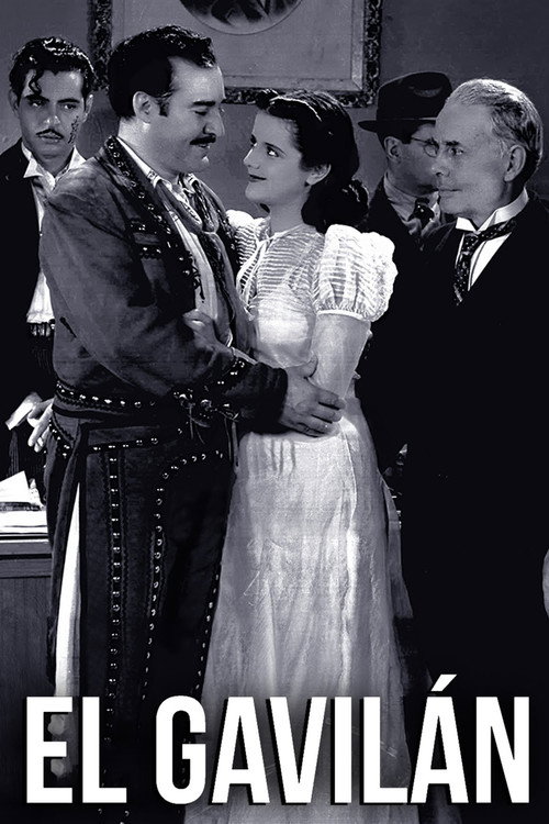 Póster de El gavilán