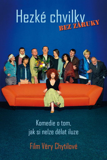 Póster de Hezké chvilky bez záruky