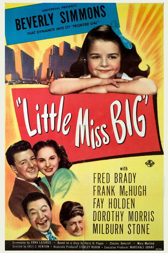 Póster de Little Miss Big
