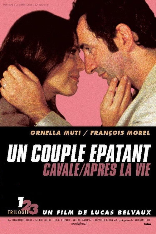 Póster de Un couple épatant