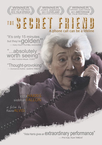 Póster de The Secret Friend