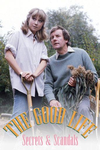 Póster de The Good Life: Secret & Scandals