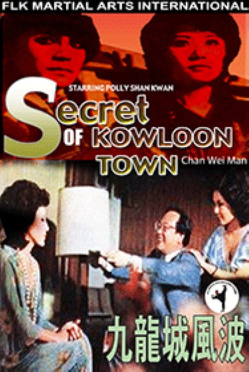 Póster de 九龍城風波