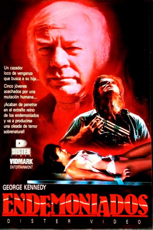 Póster de Demonwarp