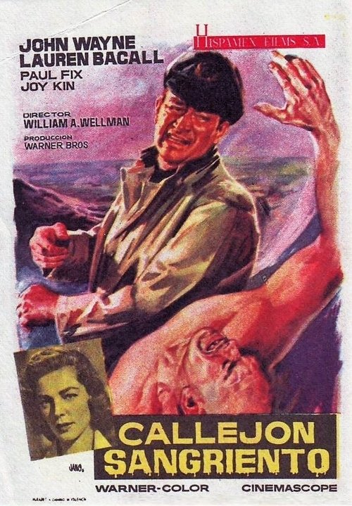 Póster de Callejón sangriento