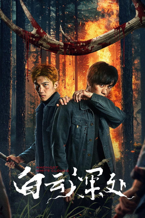 Póster de 白云深处