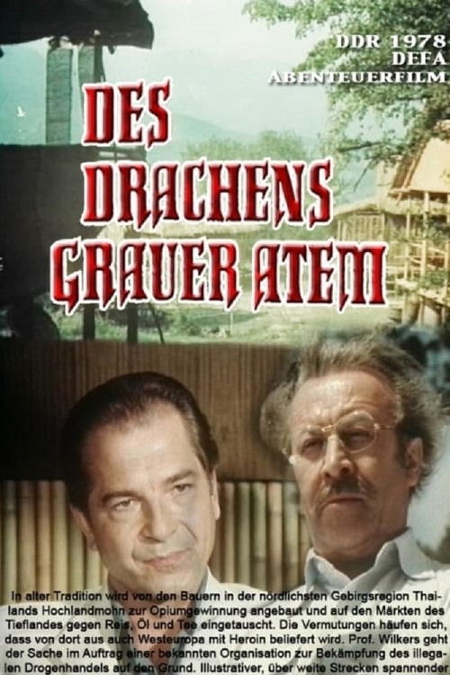Póster de Des Drachens grauer Atem
