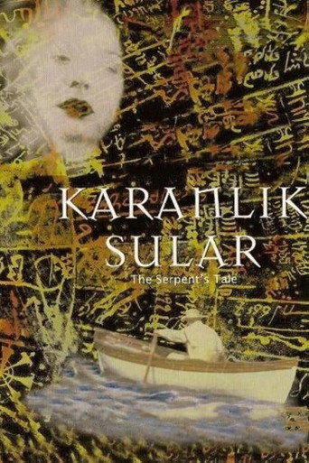 Póster de Karanlık Sular