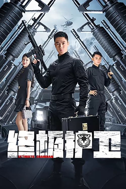 Póster de 终极护卫