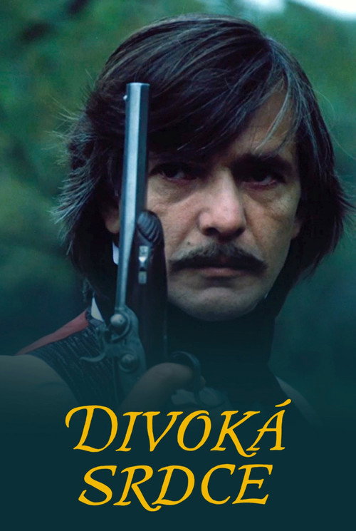 Póster de Divoká srdce