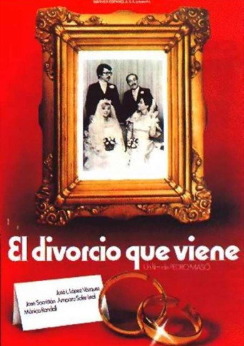 Póster de El divorcio que viene