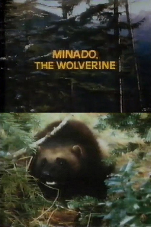 Póster de Minado, the Wolverine
