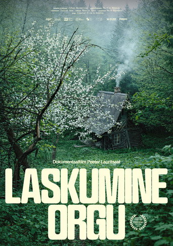 Póster de Laskumine orgu