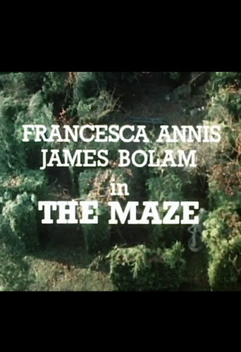 Póster de The Maze