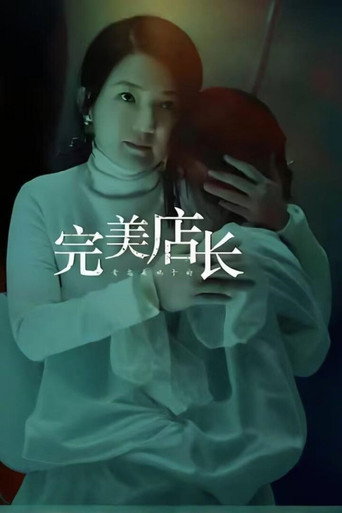 Póster de 完美店长